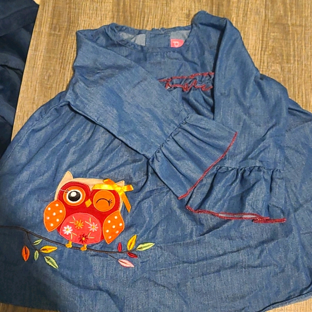 Fall Owl outfit (3T)